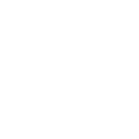 bug