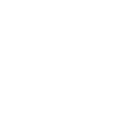 Fly