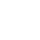 Mosquito