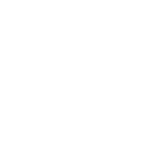 Termite